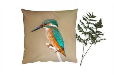 Sierkussens - Kussentjes Woonkamer - 40x40 cm - IJsvogel - Dieren - Vogel