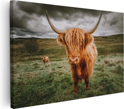 Artaza Canvas Schilderij Hooglander - 30x20 cm - Klein - Wanddecoratie Natuur - Muurdecoratie Landschap - Kamer Accessoires