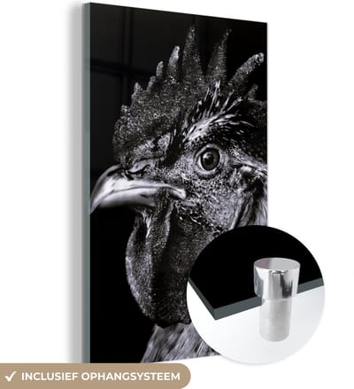 MuchoWow® Glasschilderij 120x180 cm - Schilderij acrylglas - Haan - Vogel - Zwart - Wit - Foto op glas - Schilderijen