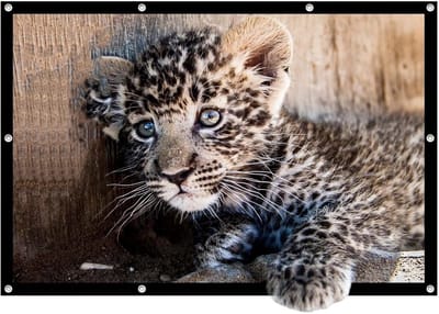 Draagbaar Projectiescherm - Opvouwbaar Scherm - Thuisbioscoop Presentaties - HD 4K Compatibel - 120 Inch 16:9 - Zwart