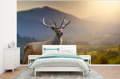 Behang - Fotobehang Hert - Berg - Gras - Zonsondergang - Dieren - Natuur - Breedte 320 cm x hoogte 240 cm