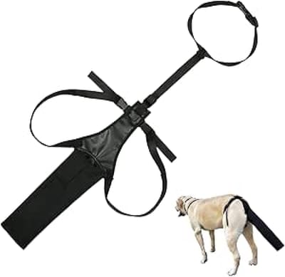 Hond Staartbescherming - Honden Staartbeschermerhoes -Verstelbare hoes - Voorkomt likken aan wonden - Zwarte hondendraagtas - Staartdeksel voor Wonden - Zwart Hondentuig met Staartbeschermer voor Hond - Lucky Tail Syndroom (Maat L)