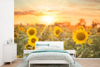 Behang - Fotobehang Zonnebloem - Zon - Bloemen - Breedte 420 cm x hoogte 280 cm