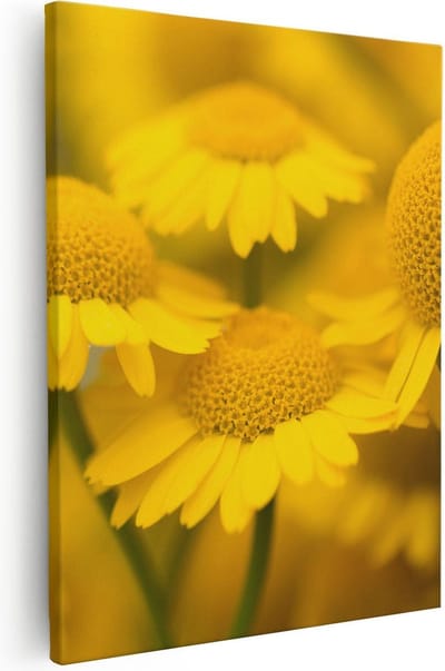 Artaza Canvas Schilderij Gele Bloemen - 40x50 cm - Muurdecoratie Bloemen - Wanddecoratie Woonkamer - Schilderijen Op Canvas Natuur