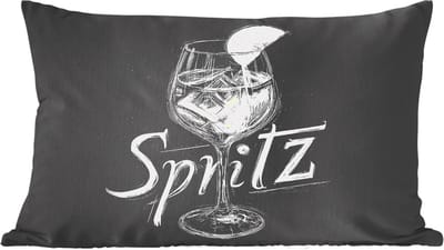 Sierkussens - Kussentjes Woonkamer - 60x40 cm - Glas spritz - Krijtletters - Ijsblokjes - Citroen