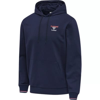 Hooded sweatshirt Hummel IC Dayton