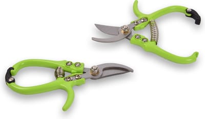 Set van 2 Bloemenschaar Snoeischaar: Handige Linkshandige Bloemenschaartjes voor Bloemen - Metaal, Groen, 16x8x1 cm