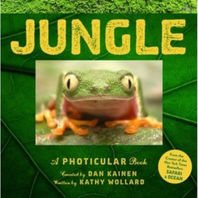 Jungle - Photicular - Dan Kainen