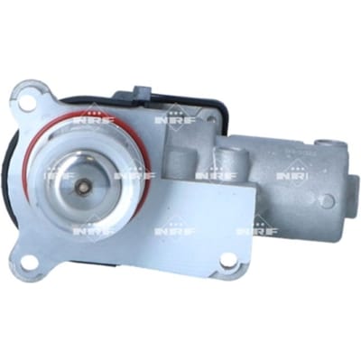 EGR-klep NRF 48631