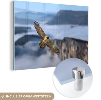 ® Glasschilderij 180x120 cm - Schilderij acrylglas - Lammergier vliegt over een berglandschap - Foto op glas - Muurdecoratie woonkamer - Wanddecoratie slaapkamer - Schilderijen
