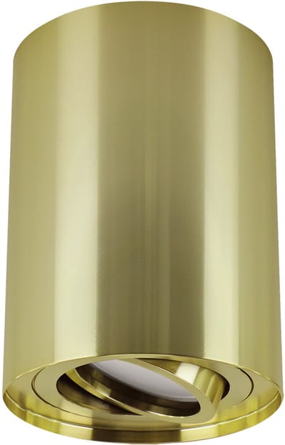 Hary Opbouwspot - Rond - GU10 - 1 Lichtpunt - past over centraaldoos - Goud kleur - Spotjes voor woonkamer, slaapkamer of keuken