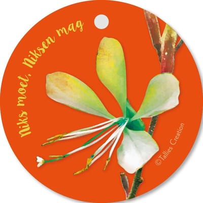Tallies Cards - kadokaartjes  - bloemenkaartjes - Niks moet niksen mag - Flowerpower - set van 5 kaarten - zomaar - aardigheidje - groetjes - 100% Duurzaam
