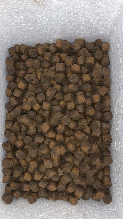 Steur voer perfect uitgebalanceerd 16mm. Bolies steurvoer 5kg