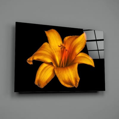 Glasschilderij - Bloemen - Gele Lelie - Geel - Zwart - 110x70 cm - 4 mm