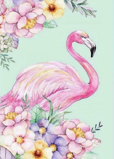 Diamond painting Mona Lisa compleet pakket: Flamingo 50x40cm
