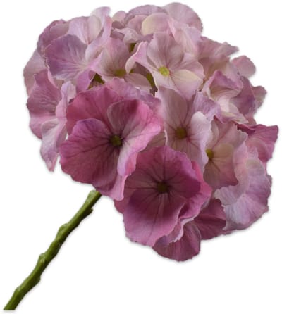Silk-ka Kunstbloem-Zijden Bloem Hortensia Steel Roze-Rood 51 cm