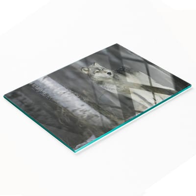 Multifunctionele decoratieve glazen snijplank voor de keuken, wolfgrijs, 80x52 cm