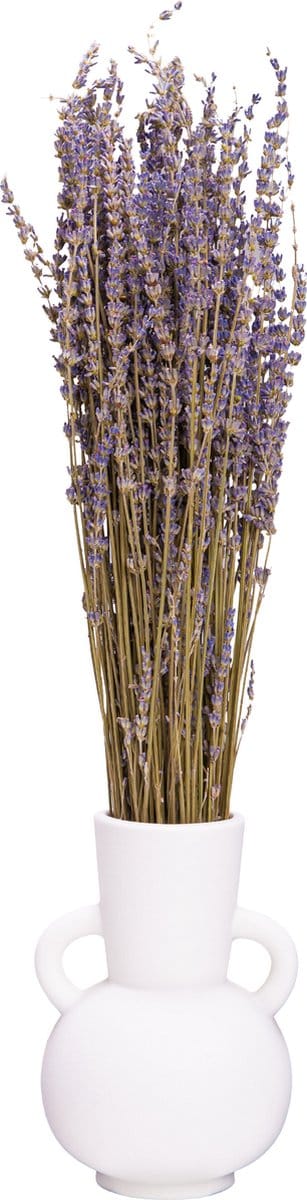 QUVIO Vaas – Vazen – Bloemenvaas – Vaas keramiek – Vaasje – Witte vaas – Vaas wit – Droogbloemen vaas – Decoratieve vaas – Vaasje – Keramische vaas – Keramiek vaas – Vaas voor bloemen – Keramiek - Wit