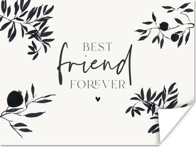 Poster Best friends - Best friend forever - BFF - Quotes - Spreuken - 160x120 cm XXL