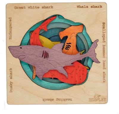 Houten Puzzels Kinderen - Educatief Speelgoed - Leren en Spelen - Gladde Randen - 16 x 16 cm - Kleurrijk