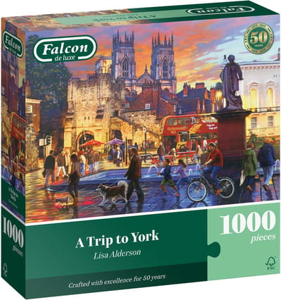Jumbo legpuzzel Falcon 1000 stukjes York stad puzzel volwassenen.