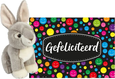 Pluche knuffel cadeau Konijn 18 cm met A5-size Gefeliciteerd wenskaart - Verjaardag cadeau opsturen - Jongen/meisje