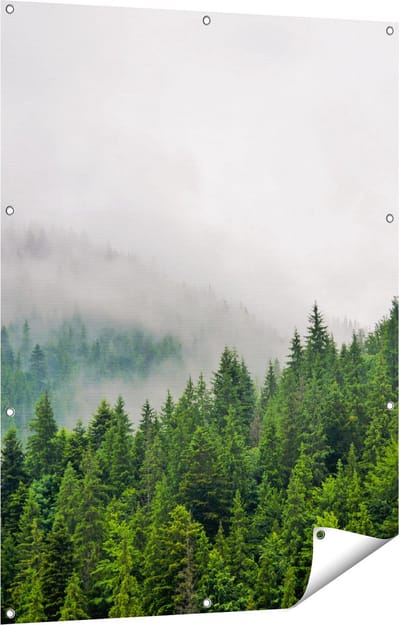 Gards Tuinposter Groen Bos met Bomen tijdens de Mist - 90x120 cm - Tuindoek - Tuindecoratie - Wanddecoratie buiten - Tuinschilderij
