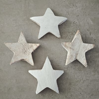 Coconut Star 12 Cm White 25 pcs - kerstdecoratie voor binnen - kerst - stukjes - decoratie - kerstster - kokos - coco - ster