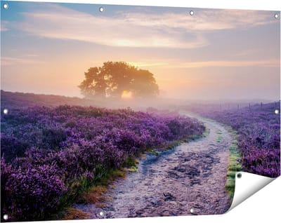 Gards Tuinposter Pad in de Weide van de Veluwe - 120x80 cm - Tuindoek - Tuindecoratie - Wanddecoratie buiten - Tuinschilderij