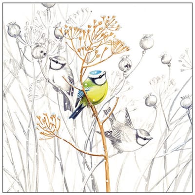Ambiente Servetten Vogels - 20x stuks - 3 laags - 33 x 33 cm - winter thema - Pimpelmees - wegwerp servetjes