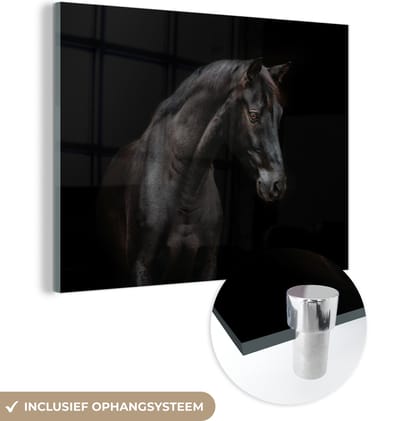 MuchoWow® Glasschilderij 160x120 cm - Schilderij acrylglas - Paard - Dieren - Zwart - Portret - Foto op glas - Schilderijen