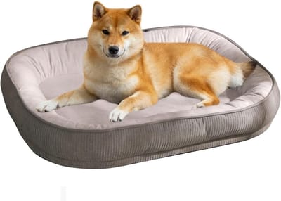 Famanu – Klein Hondenbed voor Binnen – Ook Geschikt voor Grote Katten en Puppy’s - Wasbaar Ligbed met Antislip Onderzijde