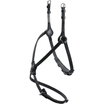 Muserolle paard Schockemöehle Rio Select