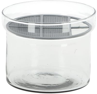 Esschert Design kiemgroente kweekset gerecycled glas