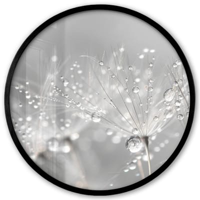 Poster in lijst Rond - Fotolijst 40x40 cm - Posters - Paardenbloem - Waterdruppels - Stilleven - Modern - Ronde posterlijst zwart - Decoratie - Wanddecoratie woonkamer - Muurdecoratie slaapkamer