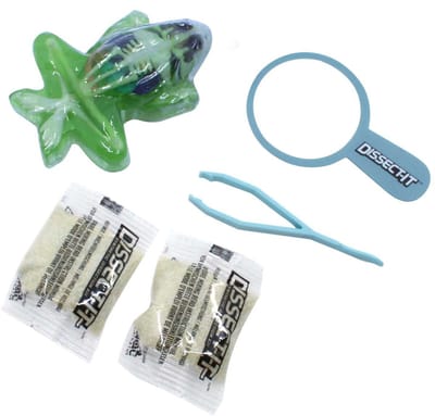 DISSECT-IT Ontleed een Kikker met Vergrootglas