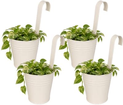 Progarden Bloempotje met haak - 4x - plantenbak zink met ophanghaak - wit - 20 x 13 x 26 cm - ophangbaar - Balkon/schutting plantenpot