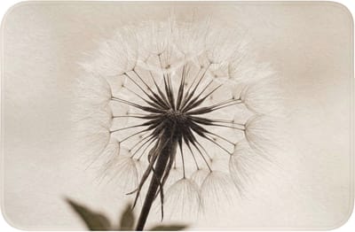 Badmat 60x40 cm - Antislip - Paardenbloem - Minimalistisch - Wit - Badmatten voor badkamer - Badkamermat - Douchemat - Badkamer mat