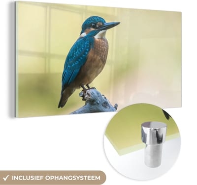 MuchoWow® Glasschilderij 40x20 cm - Schilderij acrylglas - IJsvogel - Tak - Vogel - Foto op glas - Schilderijen