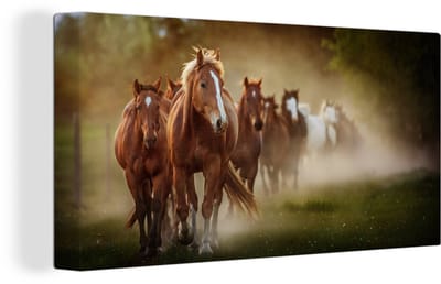 Canvas Schilderij Paarden - Licht - Natuur - 80x40 cm - Wanddecoratie
