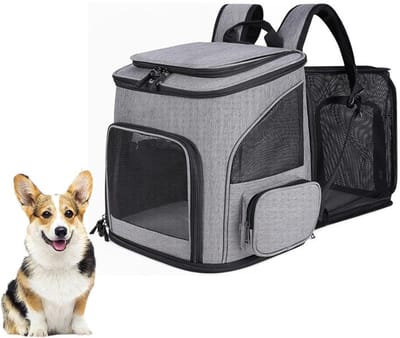 KZQ Huisdierrugzak - Uitbreidbare reistas voor katten en honden, ademend mesh-materiaal - opvouwbaar - geschikt voor kleine honden, katten en konijnen - 33 x 26 x 40 cm- grijs