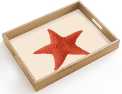 Dienblad hout 40x30 cm - Schootdienblad - Zeester - Bobbels - Rood - Borrelplank rechthoek - Plateau dienbladen