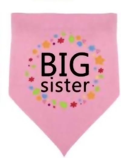 Honden bandana Big Sister roze met zwarte tekst, bloemetjes en hartjes - hond - babyshower - genderreveal -nhuisdier - bandana - big sister
