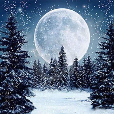 Diamond Painting Landschap Boom Winter Sneeuw Villa Strass Borduren Kruissteek 40x40CM