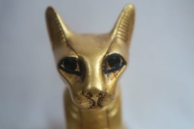 Gouden kat (groot formaat)