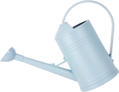 Tuingieter Ergonomisch - Waterkan Planten - Planten Water Geven - Afneembare Sproeikop - 2L of 4L - Blauw