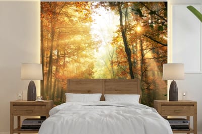 Behang - Fotobehang Bos - Herfst - Zon - Landschap - Natuur - Bomen - Bladeren - Breedte 220 cm x hoogte 220 cm