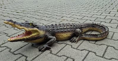 Krokodil Tuinbeeld XXL – Realistische Alligator met Open Bek – Polystone – L84 x B30 x H26 cm – Exotisch Dierenbeeld voor Binnen en Buiten