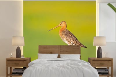 Behang - Fotobehang Vogel - Dieren - Grutto - Paal - Groen - Breedte 220 cm x hoogte 220 cm