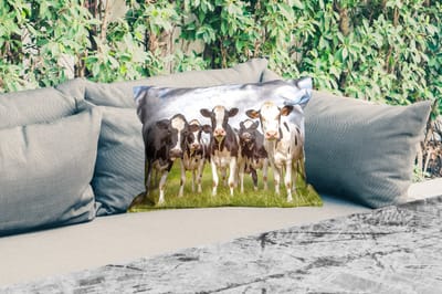 Buitenkussens - Tuin - Koeien - Weiland - Dieren - Natuur - Gras - 50x30 cm